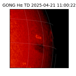 gong - 2025-04-21T11:00:22