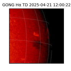 gong - 2025-04-21T12:00:22