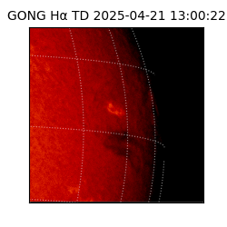 gong - 2025-04-21T13:00:22