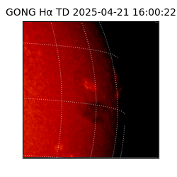 gong - 2025-04-21T16:00:22