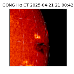 gong - 2025-04-21T21:00:42
