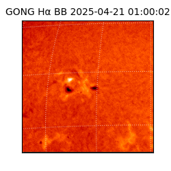 gong - 2025-04-21T01:00:02