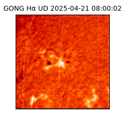 gong - 2025-04-21T08:00:02