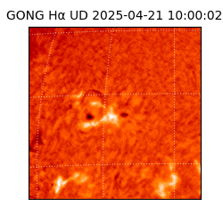 gong - 2025-04-21T10:00:02