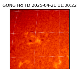 gong - 2025-04-21T11:00:22