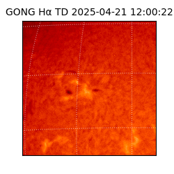 gong - 2025-04-21T12:00:22