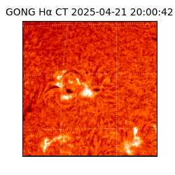 gong - 2025-04-21T20:00:42