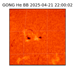 gong - 2025-04-21T22:00:02