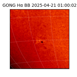gong - 2025-04-21T01:00:02