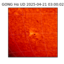 gong - 2025-04-21T03:00:02