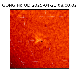 gong - 2025-04-21T08:00:02