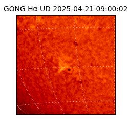 gong - 2025-04-21T09:00:02