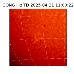 gong - 2025-04-21T11:00:22