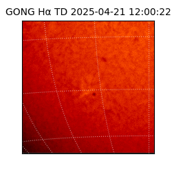 gong - 2025-04-21T12:00:22