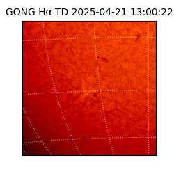 gong - 2025-04-21T13:00:22