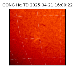 gong - 2025-04-21T16:00:22