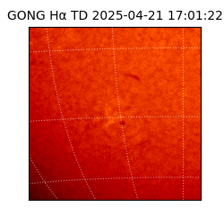 gong - 2025-04-21T17:01:22