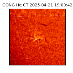 gong - 2025-04-21T19:00:42