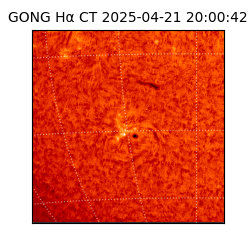 gong - 2025-04-21T20:00:42