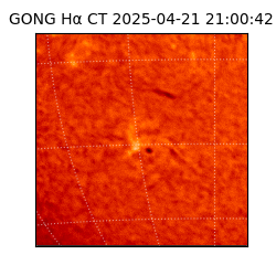 gong - 2025-04-21T21:00:42