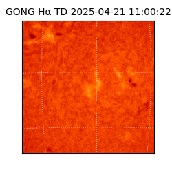 gong - 2025-04-21T11:00:22