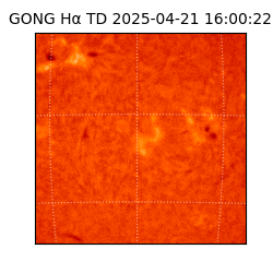 gong - 2025-04-21T16:00:22