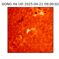 gong - 2025-04-21T09:00:02