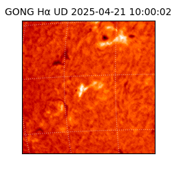 gong - 2025-04-21T10:00:02
