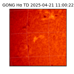 gong - 2025-04-21T11:00:22