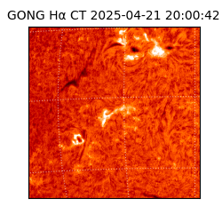 gong - 2025-04-21T20:00:42