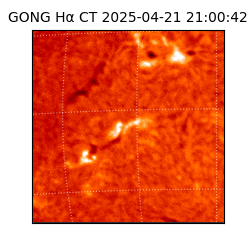 gong - 2025-04-21T21:00:42