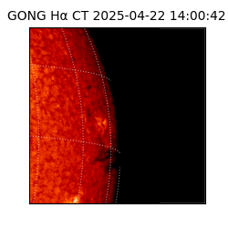 gong - 2025-04-22T14:00:42