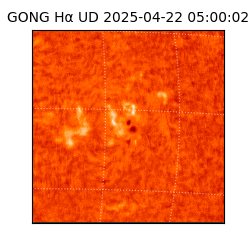 gong - 2025-04-22T05:00:02