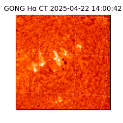 gong - 2025-04-22T14:00:42