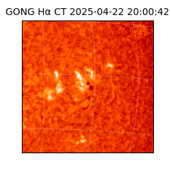 gong - 2025-04-22T20:00:42