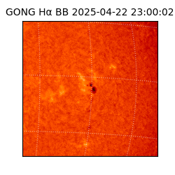 gong - 2025-04-22T23:00:02