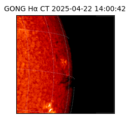 gong - 2025-04-22T14:00:42