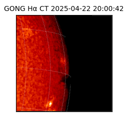 gong - 2025-04-22T20:00:42