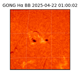 gong - 2025-04-22T01:00:02