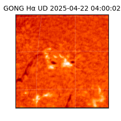 gong - 2025-04-22T04:00:02