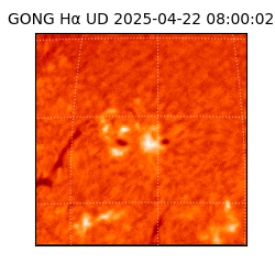 gong - 2025-04-22T08:00:02