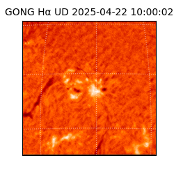 gong - 2025-04-22T10:00:02