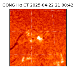 gong - 2025-04-22T21:00:42