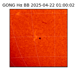 gong - 2025-04-22T01:00:02