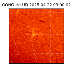 gong - 2025-04-22T03:00:02