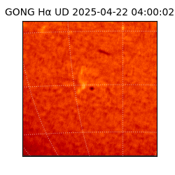 gong - 2025-04-22T04:00:02