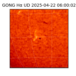 gong - 2025-04-22T06:00:02