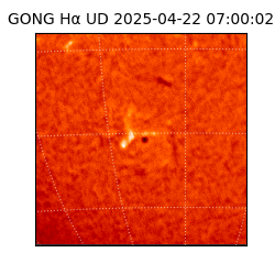 gong - 2025-04-22T07:00:02