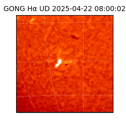 gong - 2025-04-22T08:00:02