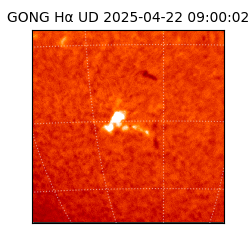 gong - 2025-04-22T09:00:02